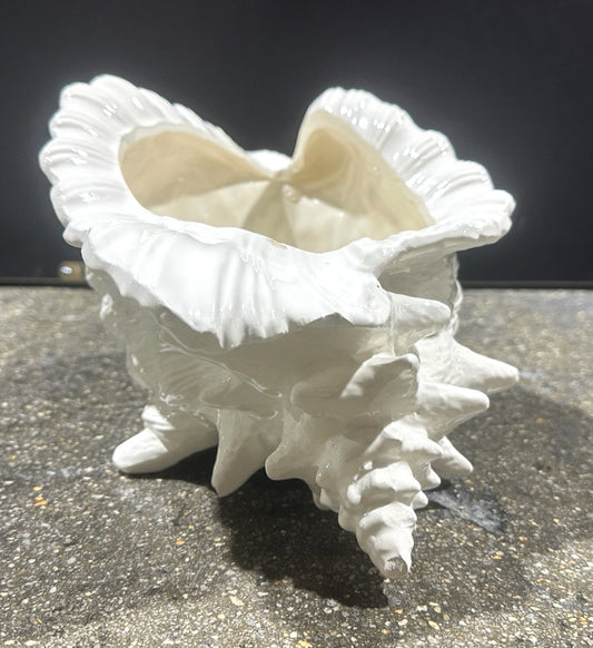 Ceramic Conch shell planter, 8"W x 12"L x 6"H