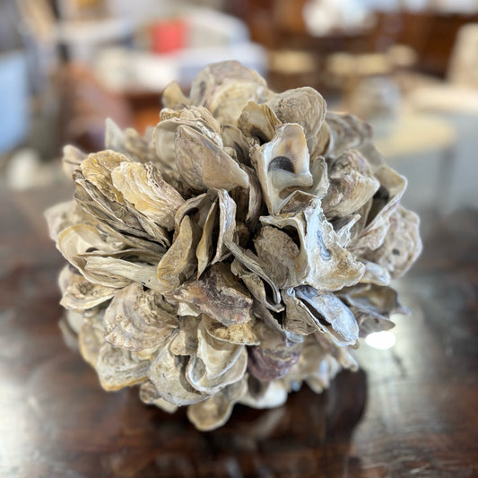 Oyster Shell Sculpture 33" D x 10" H