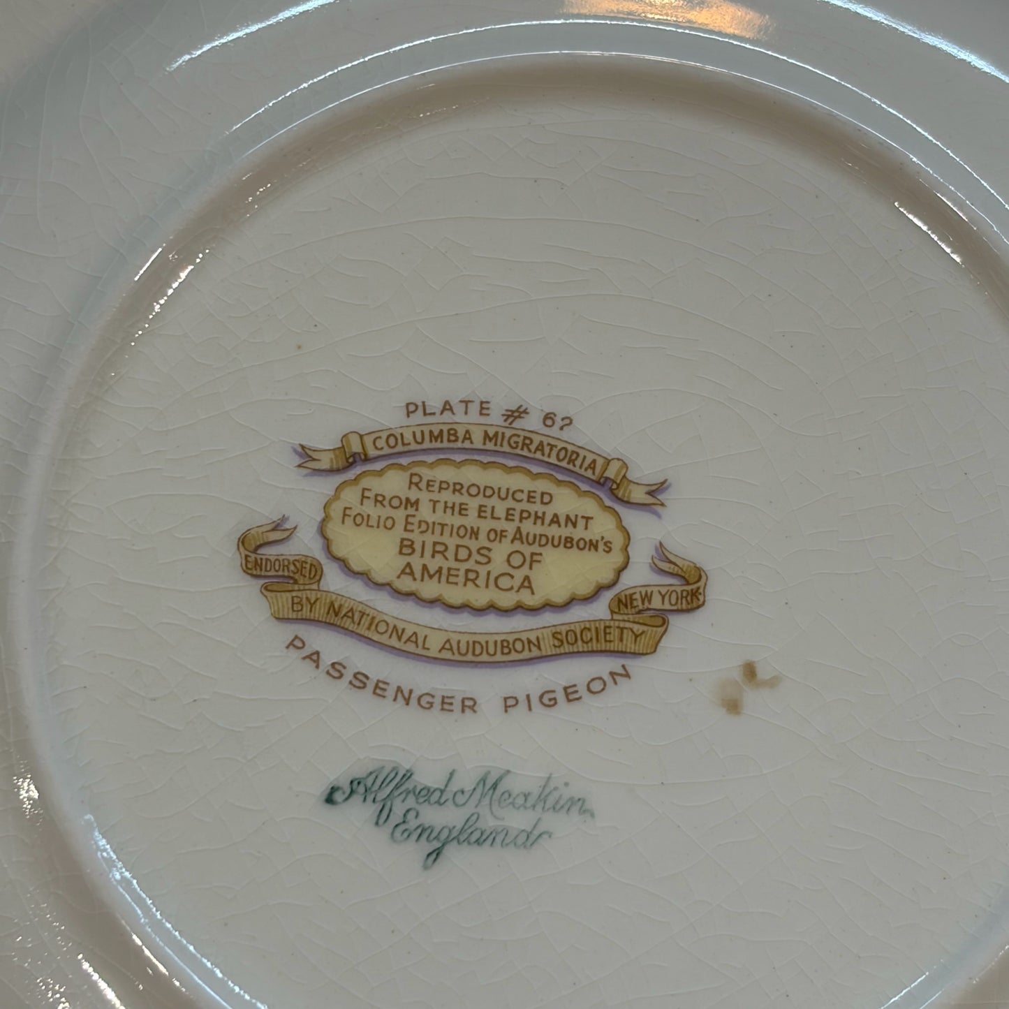 VTG Set of 6 Birds of America Floral Rim Plates by Alfred Meakin, 10.75"Dia