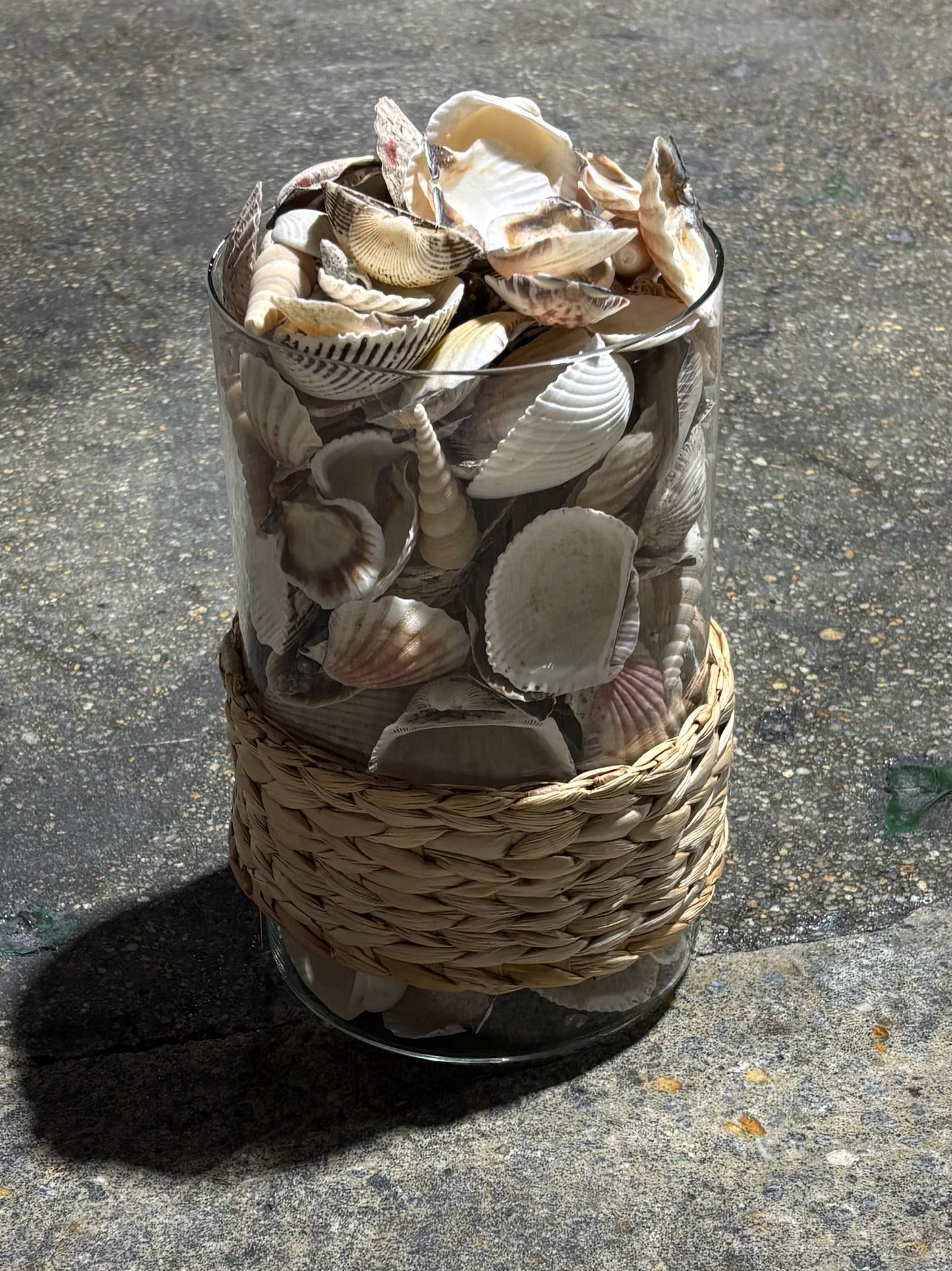 Sea grass wrapped vase w/shells, 9"H x 6"W x 6"D