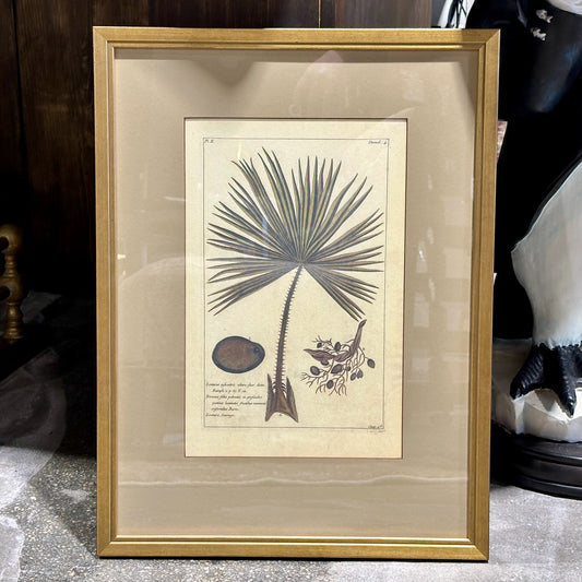 Vintage Style Botanical Palm Leaf Print D.4, Gold Framed, 21.75" L x 16.25" W