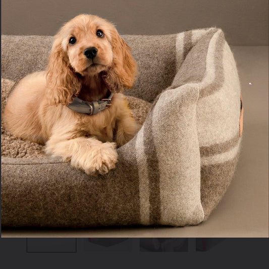Henri Recycled Wool Dog Bed, White, 27.6"W x 19.7"D x 5.9"H
