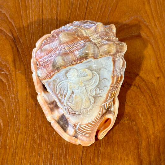 Vintage Italian Hard Carved Conch Seashell, 6" L x 4" W x 3" H