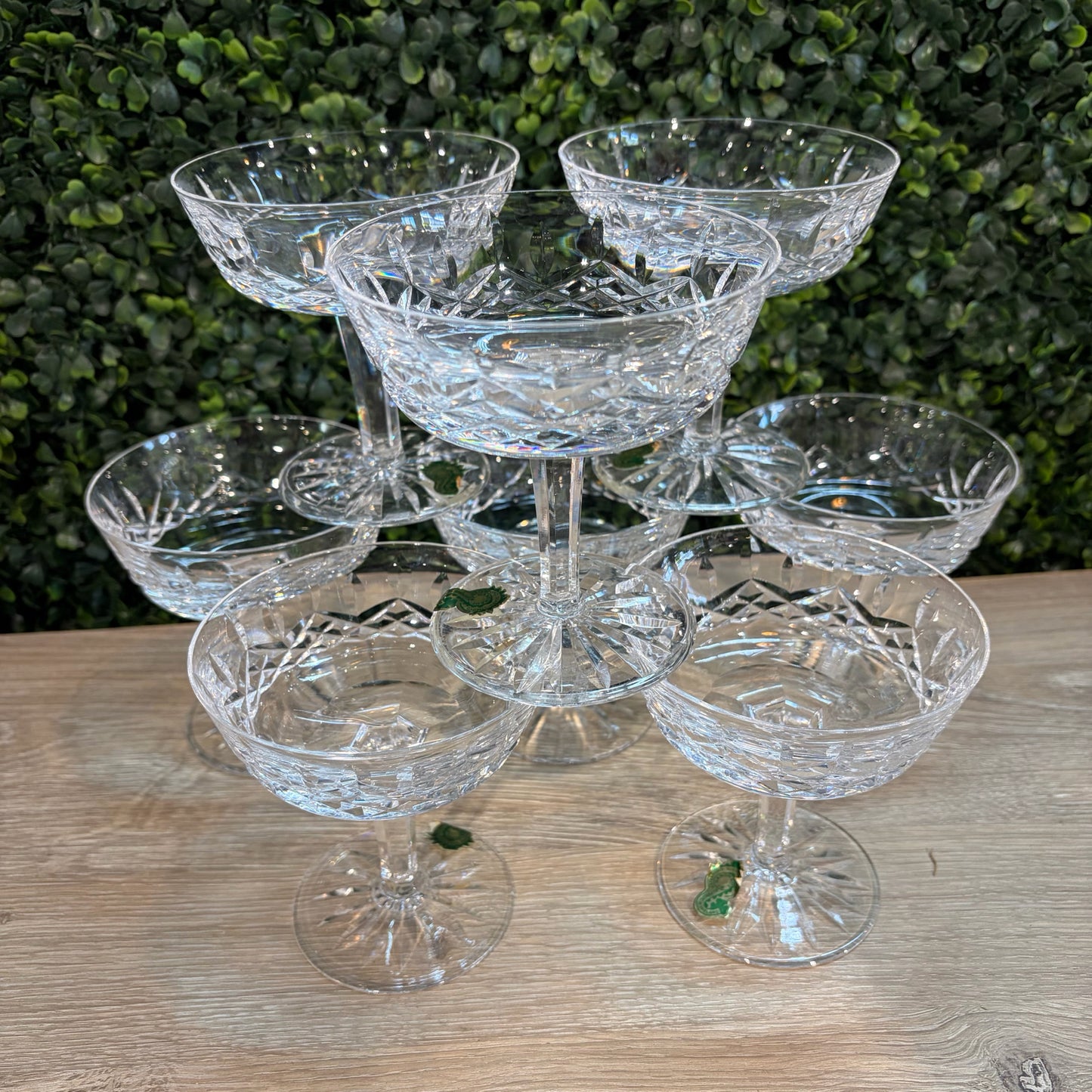 8 Waterford Crystal Lismore Champagne Coupe, 4.25"H x 4"Dia