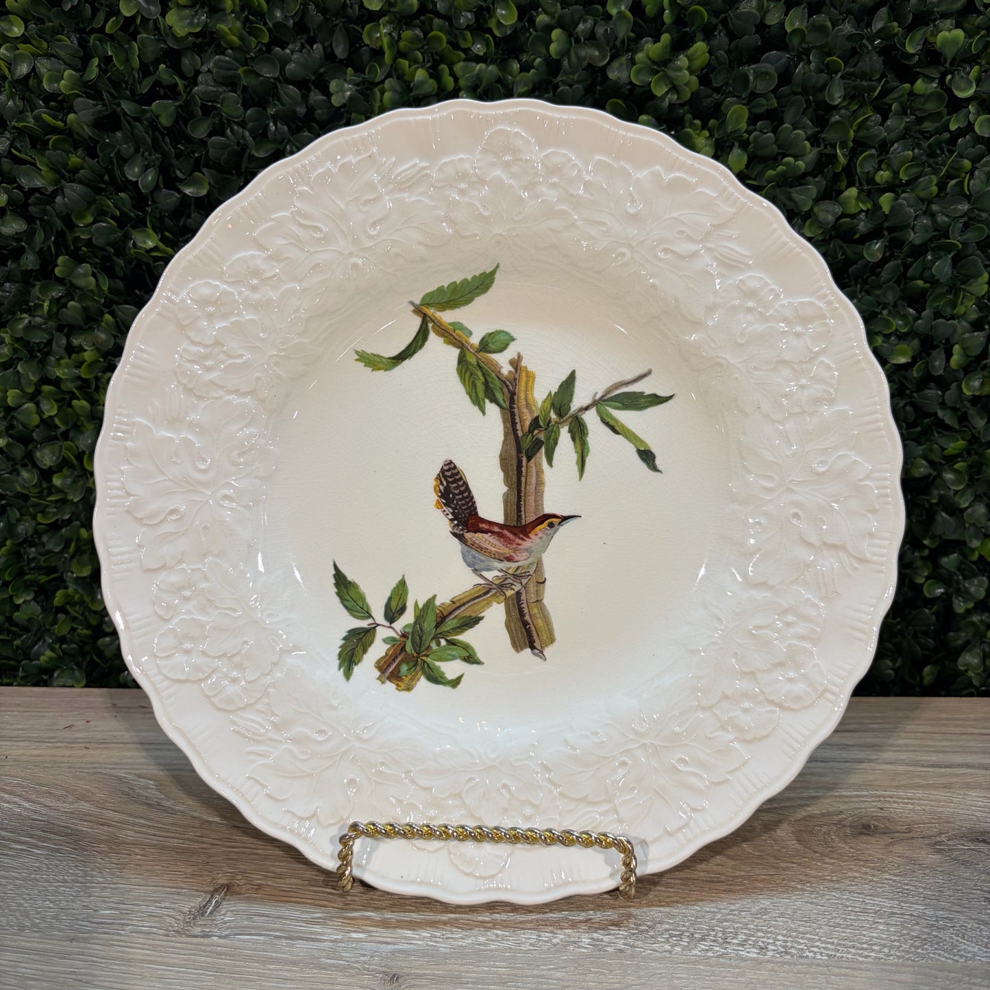 VTG Set of 6 Birds of America Floral Rim Plates by Alfred Meakin, 10.75"Dia