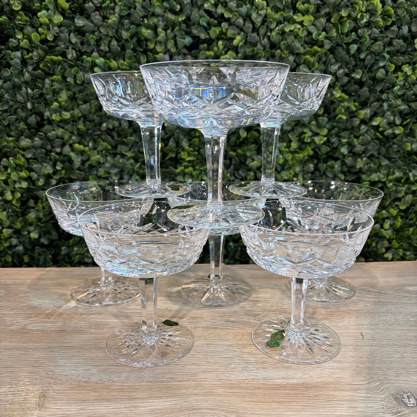 8 Waterford Crystal Lismore Champagne Coupe, 4.25"H x 4"Dia