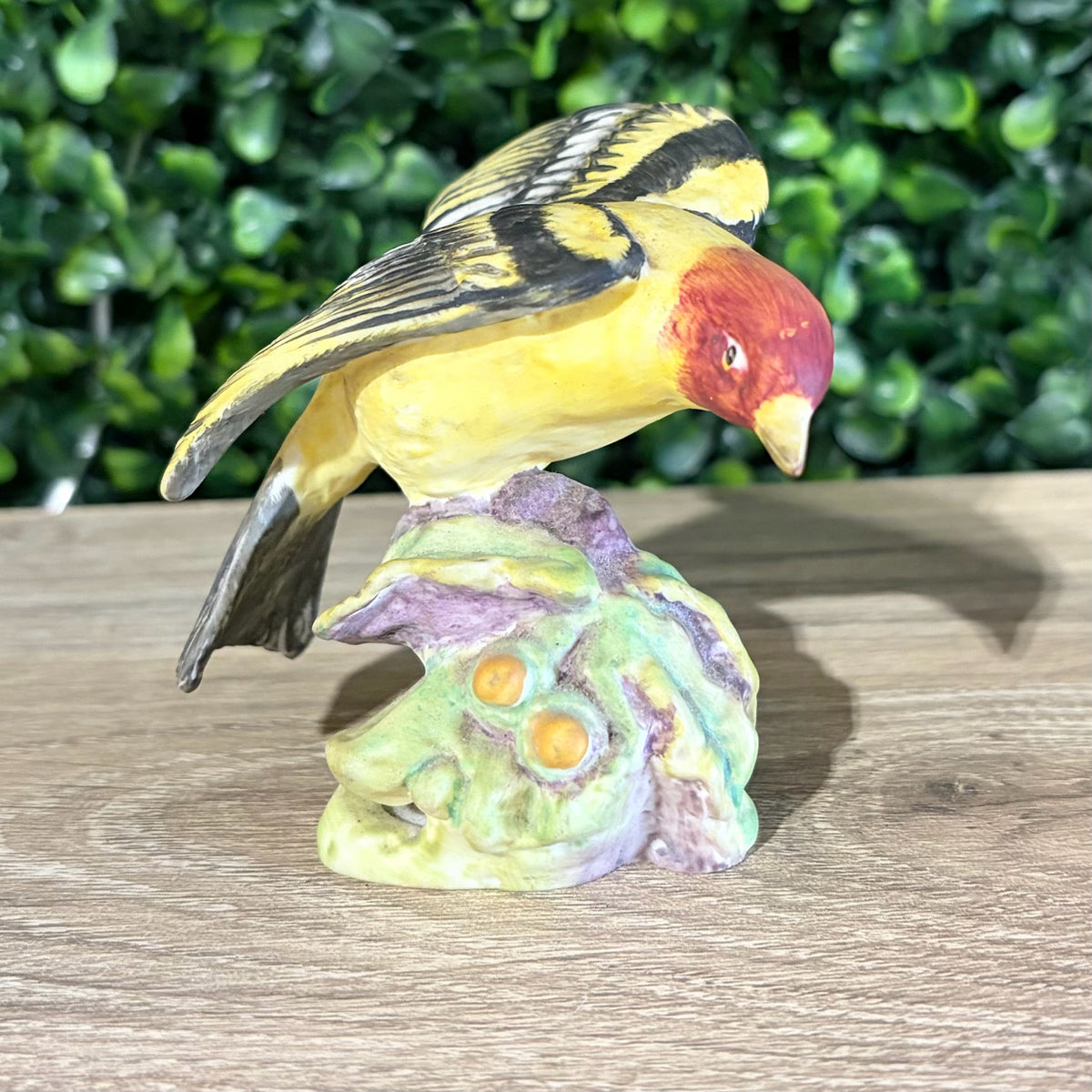 VTG Royal Worchester Western Tanager (3650)