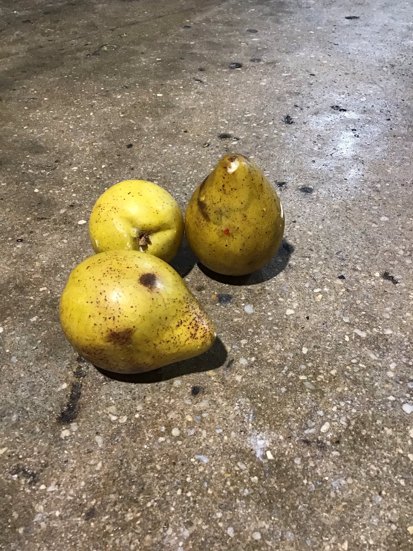 3 Italian Alabaster Pears 4" H x 2" W x 2" L