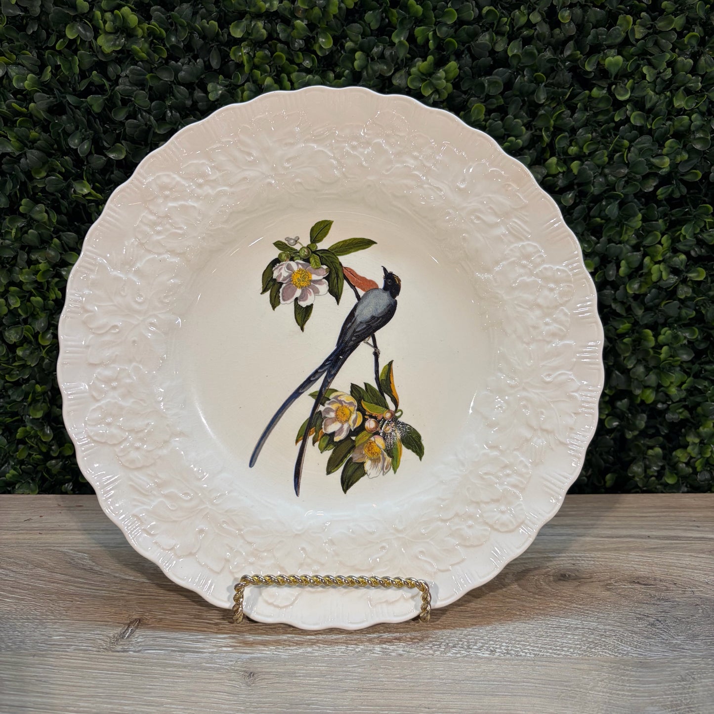 VTG Set of 6 Birds of America Floral Rim Plates by Alfred Meakin, 10.75"Dia