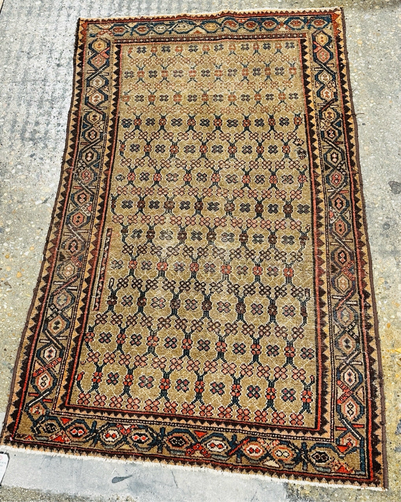 Antique Handwoven Persian rug, Hamadan, lattice/flowers, 3'3" x 5'4"