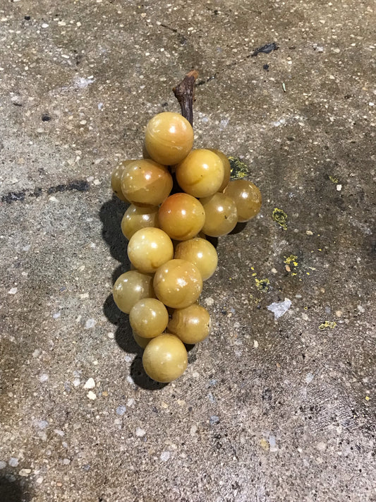 Bunch of Italian Alabaster Green Grapes on Stem 7" Lx 4" W x 4" H